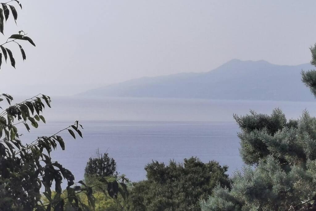 Apartman Liburna Ριέκα Εξωτερικό φωτογραφία
